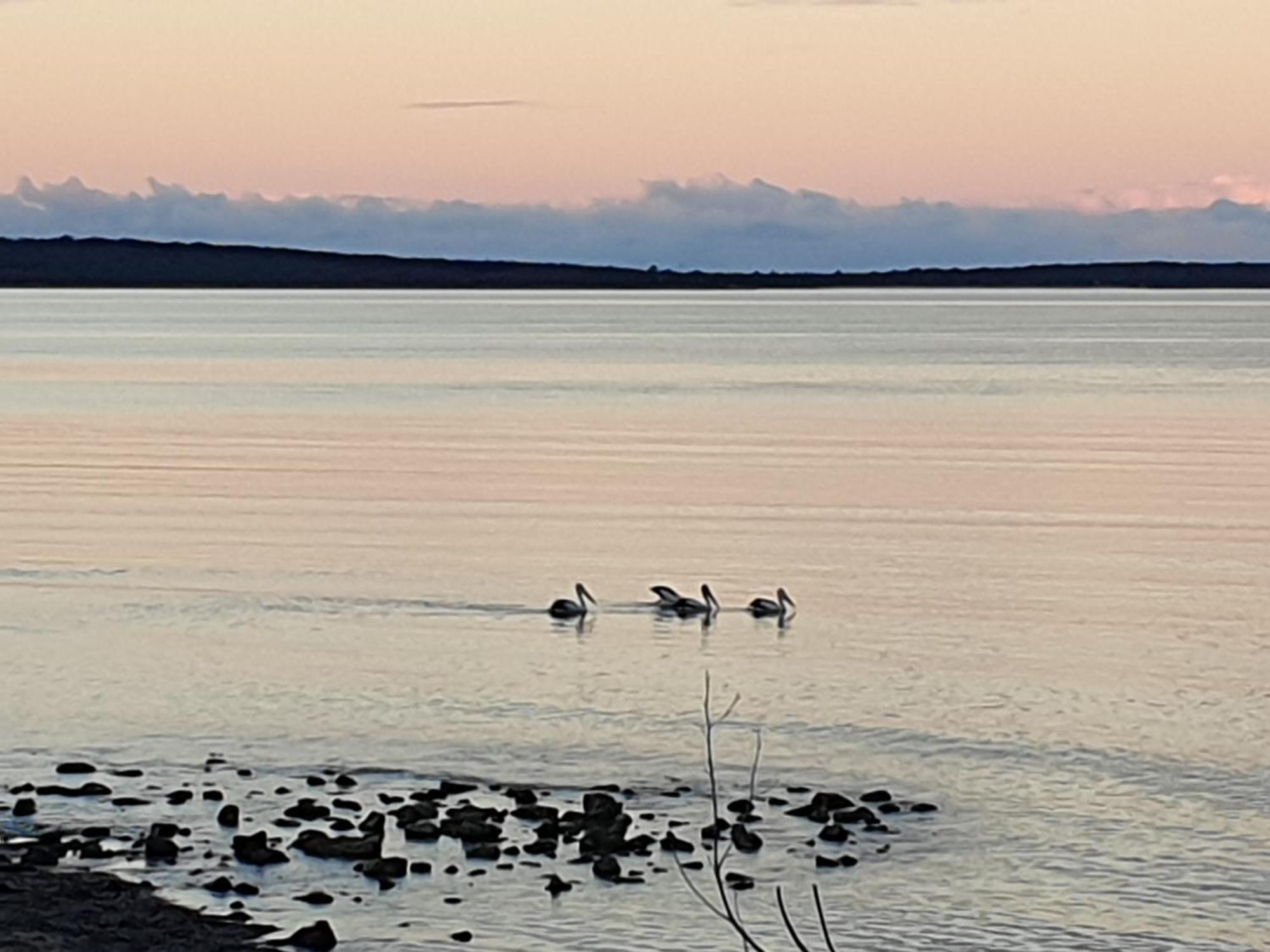 Port Lincoln Caravan Park North Shields Kültér fotó